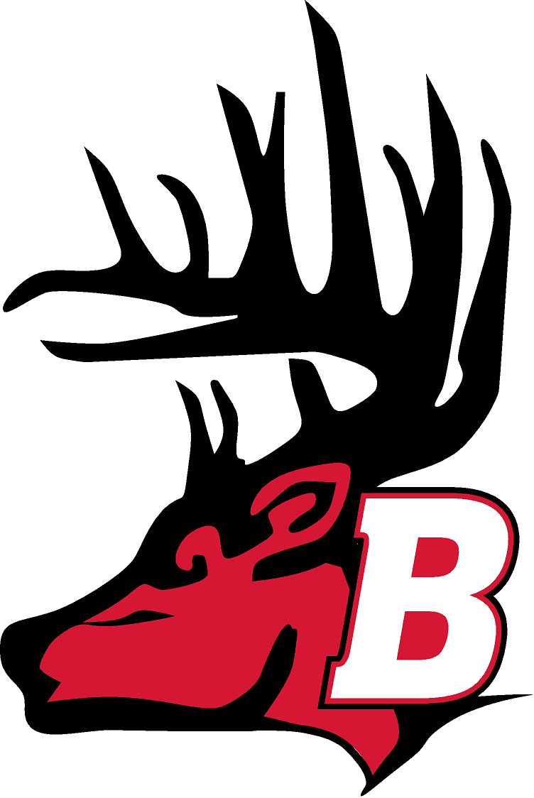 Bucktail Bucks mascot artwork