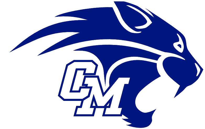 Central Mountain Wildcats mascot artwork
